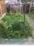 Salix Homes property